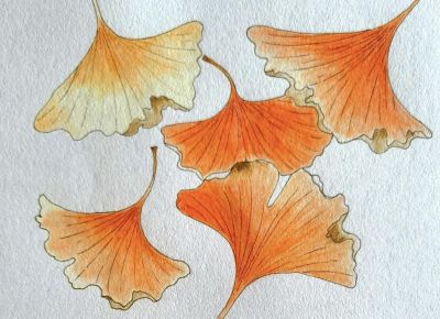 彩铅画欣赏 - 图画吧TUHUABA