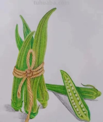 彩铅画也很美，欣赏美丽，放松心情！ - 图画吧TUHUABA