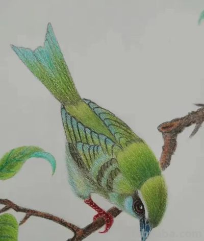 彩铅画也很美，欣赏美丽，放松心情！ - 图画吧TUHUABA