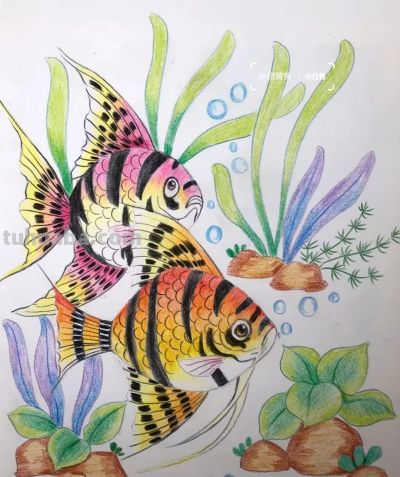 彩铅画也很美，欣赏美丽，放松心情！ - 图画吧TUHUABA