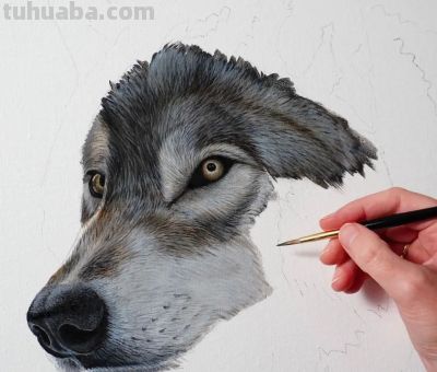 又一位吃“打印机”的画家，她的彩铅画，让人看得起鸡皮疙瘩 - 图画吧TUHUABA