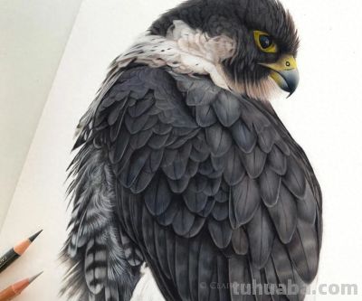 又一位吃“打印机”的画家，她的彩铅画，让人看得起鸡皮疙瘩 - 今日头条