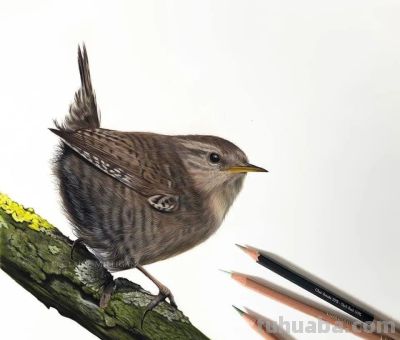 又一位吃“打印机”的画家，她的彩铅画，让人看得起鸡皮疙瘩 - 图画吧TUHUABA