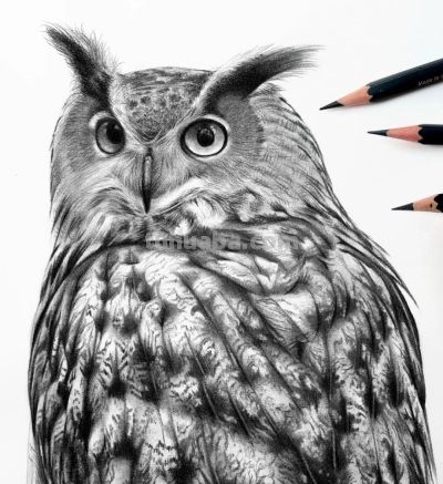 又一位吃“打印机”的画家，她的彩铅画，让人看得起鸡皮疙瘩 - 图画吧TUHUABA