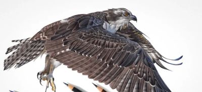 又一位吃“打印机”的画家，她的彩铅画，让人看得起鸡皮疙瘩 - 图画吧TUHUABA