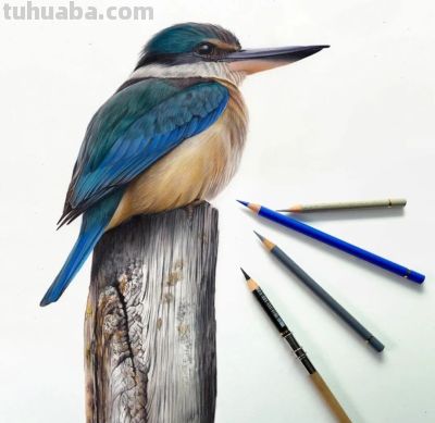 又一位吃“打印机”的画家，她的彩铅画，让人看得起鸡皮疙瘩 - 图画吧TUHUABA