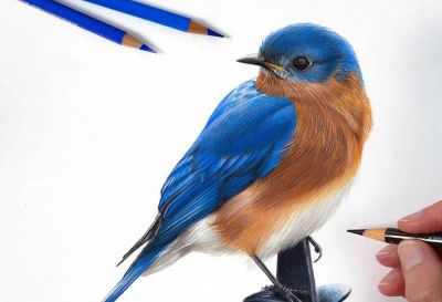 又一位吃“打印机”的画家，她的彩铅画，让人看得起鸡皮疙瘩 - 图画吧TUHUABA