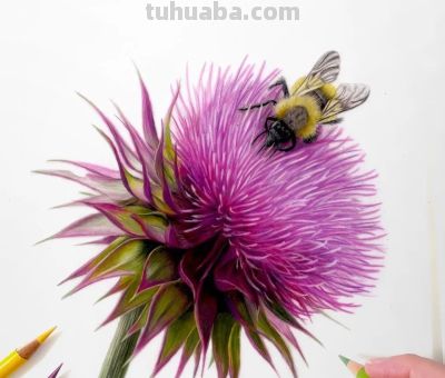 又一位吃“打印机”的画家，她的彩铅画，让人看得起鸡皮疙瘩 - 图画吧TUHUABA