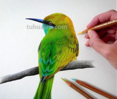 又一位吃“打印机”的画家，她的彩铅画，让人看得起鸡皮疙瘩 - 图画吧TUHUABA