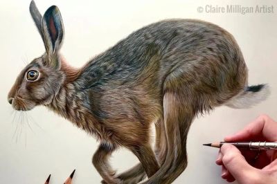 又一位吃“打印机”的画家，她的彩铅画，让人看得起鸡皮疙瘩 - 图画吧TUHUABA