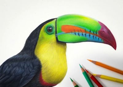 又一位吃“打印机”的画家，她的彩铅画，让人看得起鸡皮疙瘩 - 图画吧TUHUABA