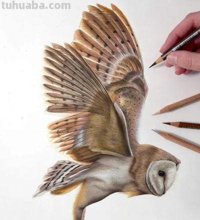 又一位吃“打印机”的画家，她的彩铅画，让人看得起鸡皮疙瘩 - 图画吧TUHUABA
