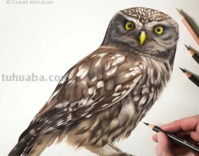 又一位吃“打印机”的画家，她的彩铅画，让人看得起鸡皮疙瘩 - 图画吧TUHUABA