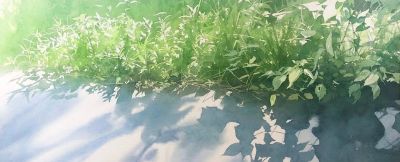 水彩画风格的照片式水彩风景。 - 图画吧TUHUABA