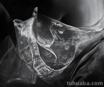 超级素描，写实的生命：意大利画家伊曼纽尔的高清作品 - 图画吧TUHUABA