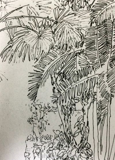 郑仁安 ||海南《南国威尼斯城》园林速写作品欣赏(7) - 今日头条 郑仁安 ||海南《南国威尼斯城》园林速写作品欣赏(7) - 图画吧TUHUABA