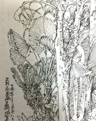 郑仁安 ||海南《南国威尼斯城》园林速写作品欣赏(7) - 今日头条 郑仁安 ||海南《南国威尼斯城》园林速写作品欣赏(7) - 图画吧TUHUABA