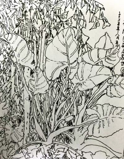 郑仁安 ||海南《南国威尼斯城》园林速写作品欣赏(7) - 今日头条 郑仁安 ||海南《南国威尼斯城》园林速写作品欣赏(7) - 图画吧TUHUABA