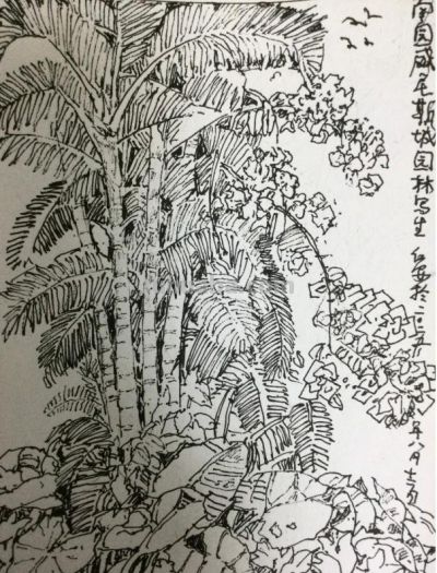 郑仁安 ||海南《南国威尼斯城》园林速写作品欣赏(7) - 今日头条 郑仁安 ||海南《南国威尼斯城》园林速写作品欣赏(7) - 图画吧TUHUABA