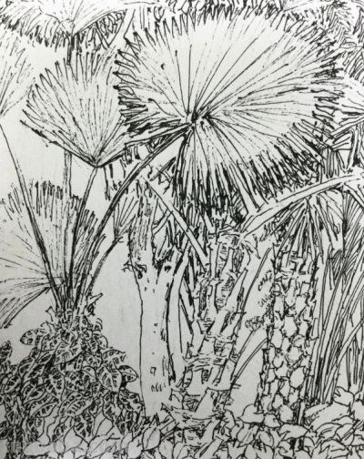 郑仁安 ||海南《南国威尼斯城》园林速写作品欣赏(7) - 今日头条 郑仁安 ||海南《南国威尼斯城》园林速写作品欣赏(7) - 图画吧TUHUABA