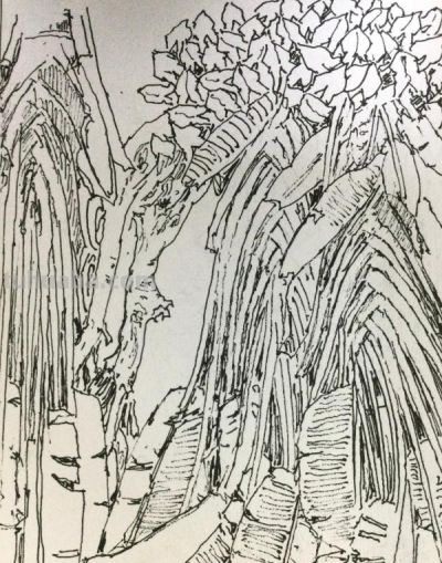 郑仁安 ||海南《南国威尼斯城》园林速写作品欣赏(7) - 今日头条 郑仁安 ||海南《南国威尼斯城》园林速写作品欣赏(7) - 图画吧TUHUABA