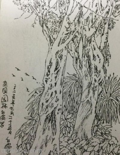 郑仁安 ||海南《南国威尼斯城》园林速写作品欣赏(7) - 今日头条 郑仁安 ||海南《南国威尼斯城》园林速写作品欣赏(7) - 图画吧TUHUABA