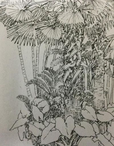 郑仁安 ||海南《南国威尼斯城》园林速写作品欣赏(7) - 今日头条 郑仁安 ||海南《南国威尼斯城》园林速写作品欣赏(7) - 图画吧TUHUABA