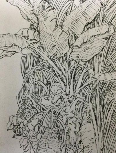 郑仁安 ||海南《南国威尼斯城》园林速写作品欣赏(7) - 今日头条 郑仁安 ||海南《南国威尼斯城》园林速写作品欣赏(7) - 图画吧TUHUABA