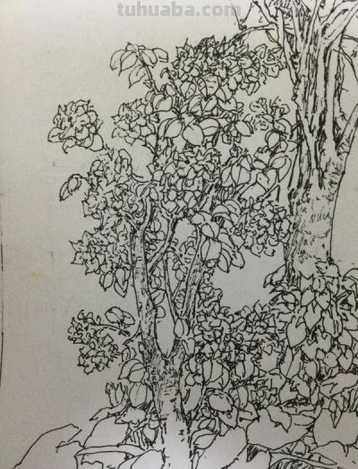 郑仁安 ||海南《南国威尼斯城》园林速写作品欣赏(7) - 今日头条 郑仁安 ||海南《南国威尼斯城》园林速写作品欣赏(7) - 图画吧TUHUABA