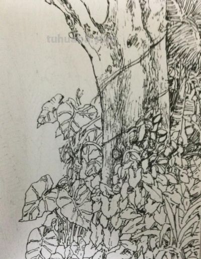 郑仁安 ||海南《南国威尼斯城》园林速写作品欣赏(7) - 今日头条 郑仁安 ||海南《南国威尼斯城》园林速写作品欣赏(7) - 图画吧TUHUABA