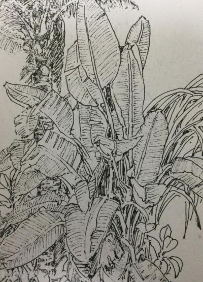 郑仁安 ||海南《南国威尼斯城》园林速写作品欣赏(7) - 今日头条 郑仁安 ||海南《南国威尼斯城》园林速写作品欣赏(7) - 图画吧TUHUABA