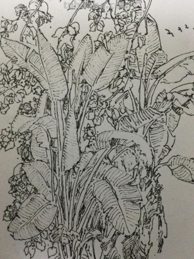 郑仁安 ||海南《南国威尼斯城》园林速写作品欣赏(7) - 今日头条 郑仁安 ||海南《南国威尼斯城》园林速写作品欣赏(7) - 图画吧TUHUABA