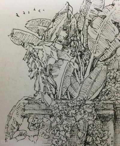 郑仁安 ||海南《南国威尼斯城》园林速写作品欣赏(7) - 今日头条 郑仁安 ||海南《南国威尼斯城》园林速写作品欣赏(7) - 图画吧TUHUABA