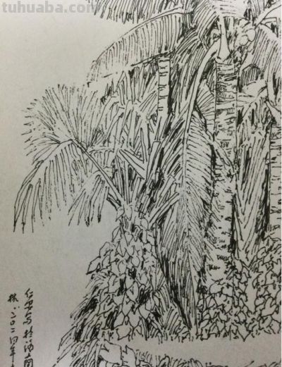 郑仁安 ||海南《南国威尼斯城》园林速写作品欣赏(7) - 今日头条 郑仁安 ||海南《南国威尼斯城》园林速写作品欣赏(7) - 图画吧TUHUABA