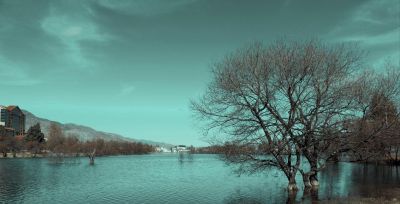 学摄影不用死记参数！掌握这4个基本要领，新手也能快速出片 - 图画吧TUHUABA