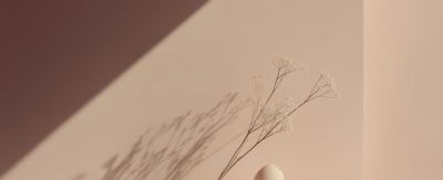 学摄影不用死记参数！掌握这4个基本要领，新手也能快速出片 - 图画吧TUHUABA