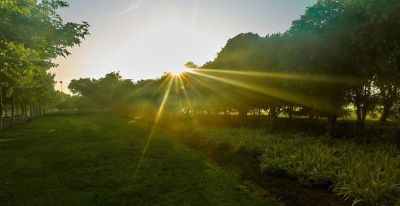 学摄影不用死记参数！掌握这4个基本要领，新手也能快速出片 - 图画吧TUHUABA