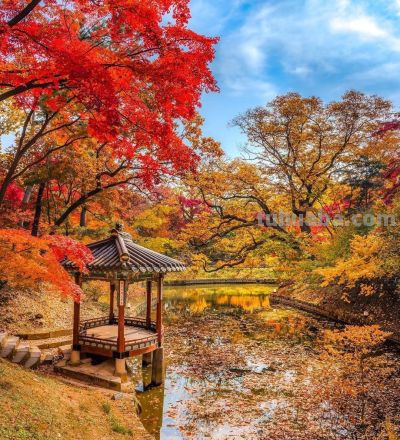 夕阳咋拍好看，风景咋拍好看，10个摄影技巧，让你生活更艺术 - 图画吧TUHUABA