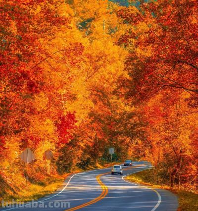 夕阳咋拍好看，风景咋拍好看，10个摄影技巧，让你生活更艺术 - 图画吧TUHUABA