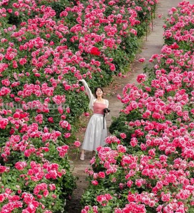 太美啦，景大人小11个拍照技巧，谁拍谁好看，你也能拍好看 - 图画吧TUHUABA