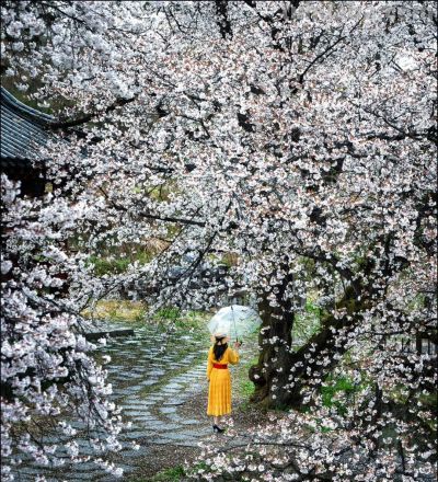 太美啦，景大人小11个拍照技巧，谁拍谁好看，你也能拍好看 - 图画吧TUHUABA
