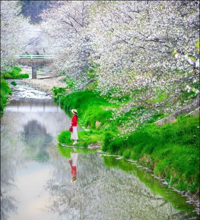 太美啦，景大人小11个拍照技巧，谁拍谁好看，你也能拍好看 - 图画吧TUHUABA