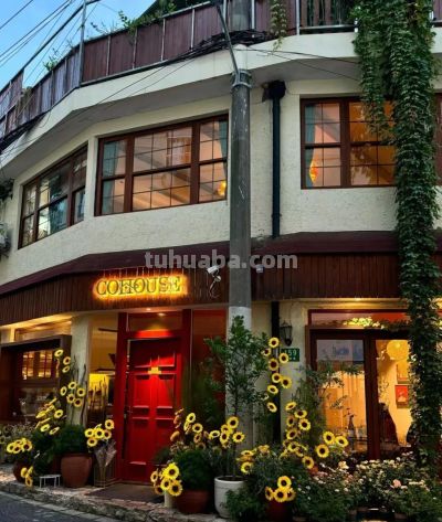 超20家！长宁首批“环球美食汇”优选餐厅推荐→ - 图画吧TUHUABA