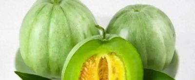 香瓜种植只要按照这3个步骤，实现家庭香瓜自由那也是很容易的 - 今日头条