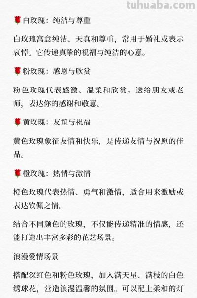 细数玫瑰的魅力：不同颜色的玫瑰花语大揭秘 - 图画吧TUHUABA
