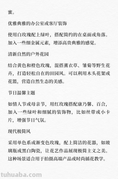 细数玫瑰的魅力：不同颜色的玫瑰花语大揭秘 - 图画吧TUHUABA