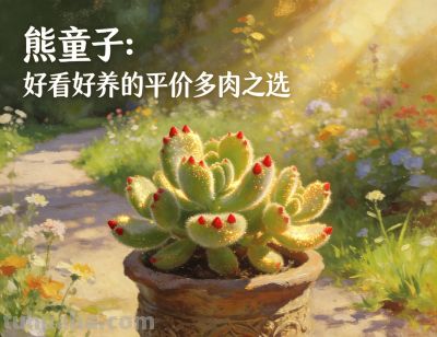 2026平价多肉推荐：10款好看又好养，新手闭眼入不踩雷 - 今日头条
