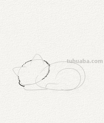 治愈系猫咪入梦丨涂鸦简笔画分享 - 图画吧TUHUABA