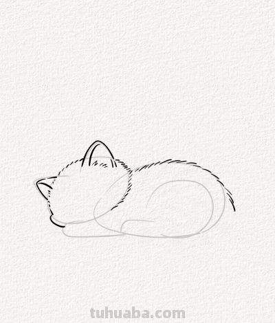 治愈系猫咪入梦丨涂鸦简笔画分享 - 图画吧TUHUABA