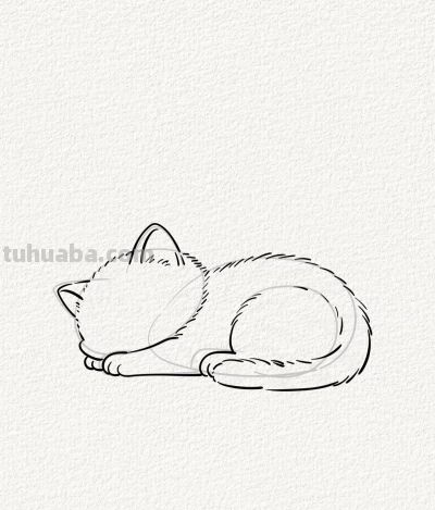 治愈系猫咪入梦丨涂鸦简笔画分享 - 图画吧TUHUABA